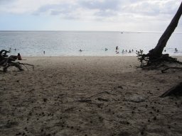 Lagon de Saint Gilles